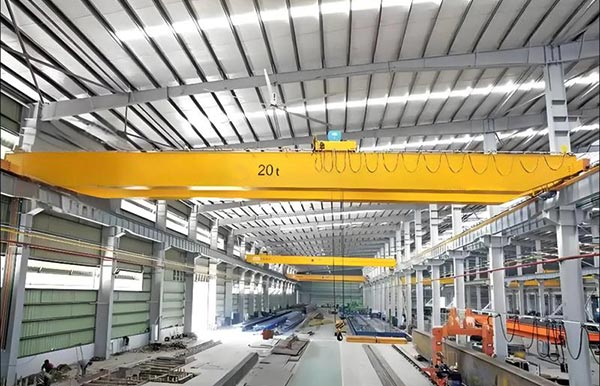 What are the characteristics of European cranes?